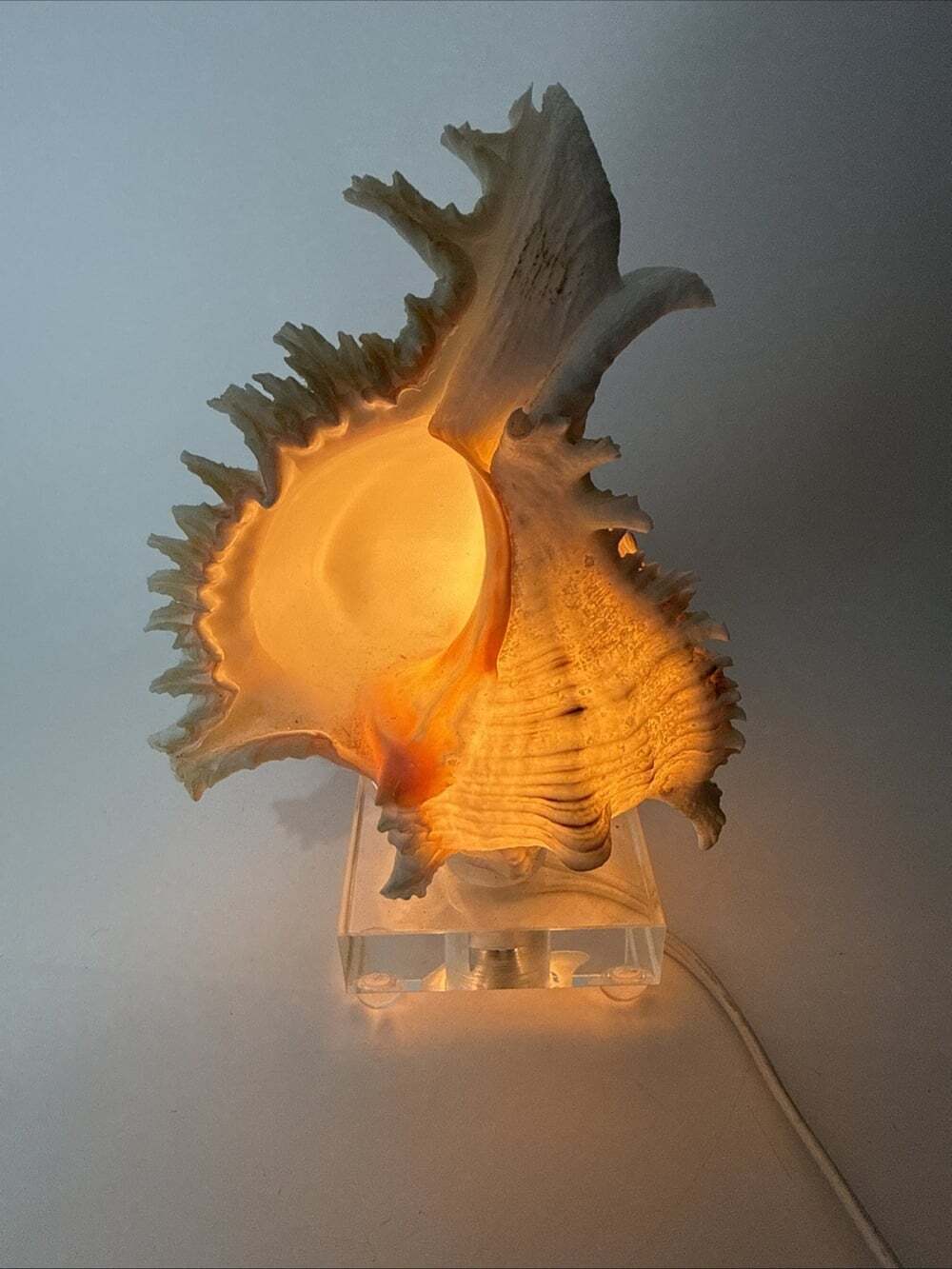 Vtg Shell Accent Table Lamp Beach Core With Lucite Base Works
